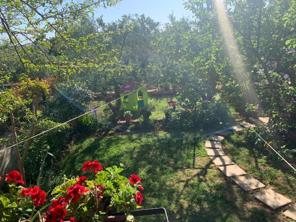 Apartman Dalija Vinkuran Exterior foto