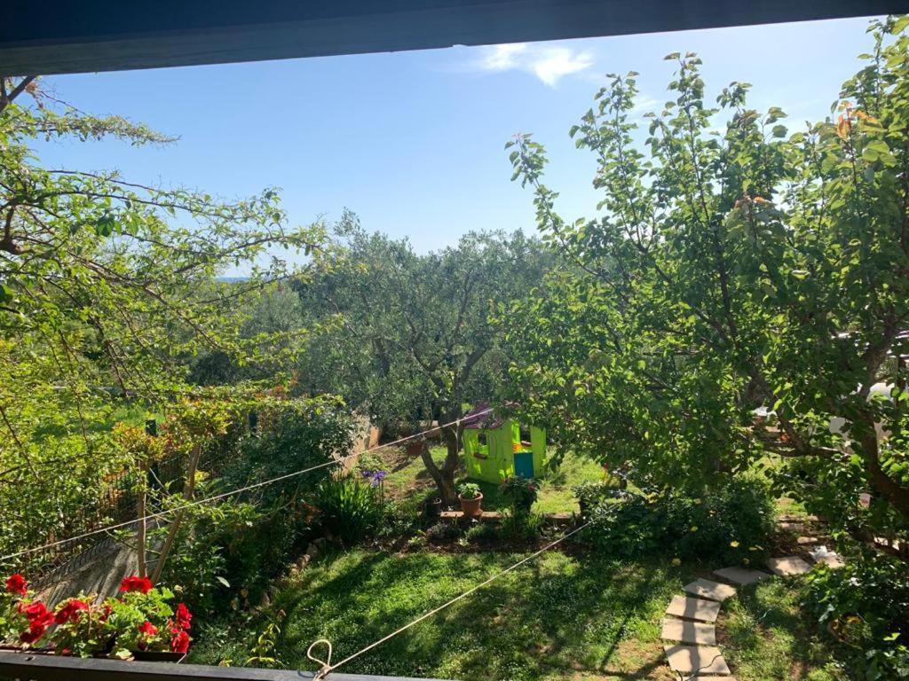 Apartman Dalija Vinkuran Exterior foto